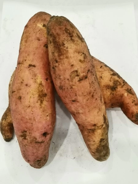 KELEDEK AUST  澳洲红薯 500g+-