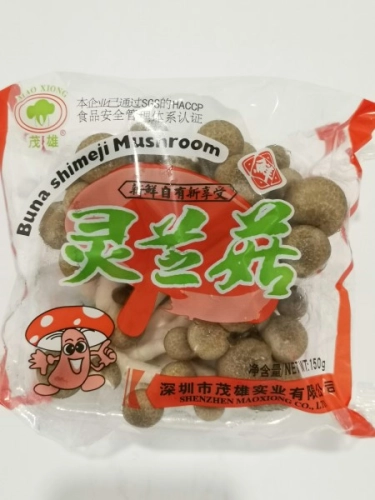 MX SHIMEJI MUSHROOM  灵芝菇 150g