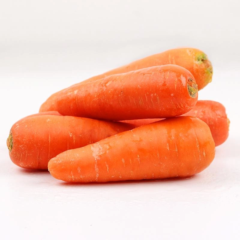 CARROT AUST KG 金笋（澳洲）500g+-