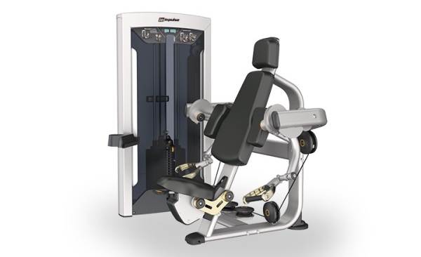 Arm Curl FE9703    EXOFORM Strength Machine Commercial GYM Penang, Malaysia, Perak, Jelutong, Ipoh Supplier, Supply, Supplies, Setup | Arah Bumiraya Sdn Bhd/Olympic Sports & Fitness Sdn Bhd