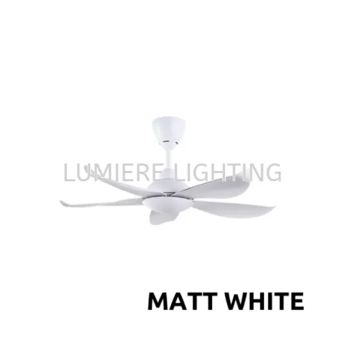 Matt White