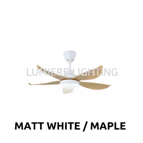 Matt White / Maple