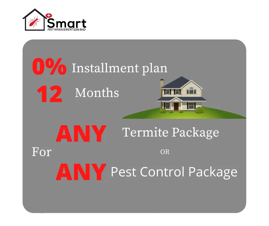 O% Installment Plan