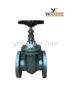 Cast Iron Gate Valve (PN16) - NRS