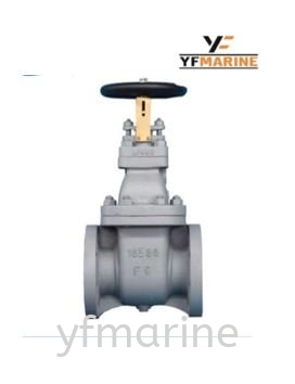 Cast Iron Gate Valve (JIS 16K)