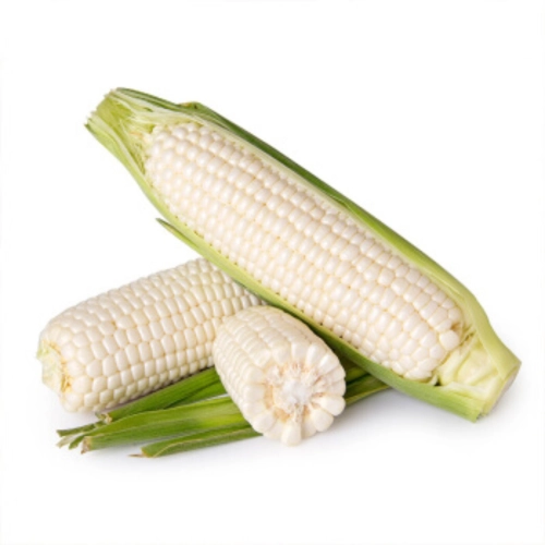 JAGUNG MANIS PUTIH CH 珍珠白玉米 1PCS