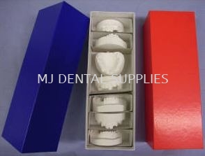 STUDY MODEL BOX Accessories Instruments Selangor, Malaysia, Kuala Lumpur (KL), Shah Alam Supplier, Distributor, Supply, Supplies | MJ Dental Supplies