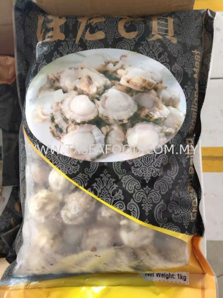 Hatate (blk) FROZEN SHELL Selangor, Klang, Malaysia, Kuala Lumpur (KL) Supplier, Suppliers, Supply, Supplies | TX SEAFOOD SDN. BHD.