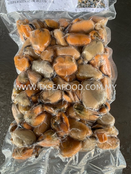 Green mussel meat FROZEN SHELL Selangor, Klang, Malaysia, Kuala Lumpur (KL) Supplier, Suppliers, Supply, Supplies | TX SEAFOOD SDN. BHD.