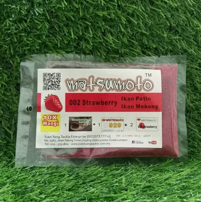 Matsumoto Strawberry 002