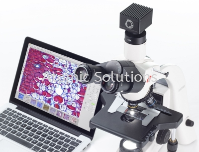 MOTIC Imaging Analysis Software