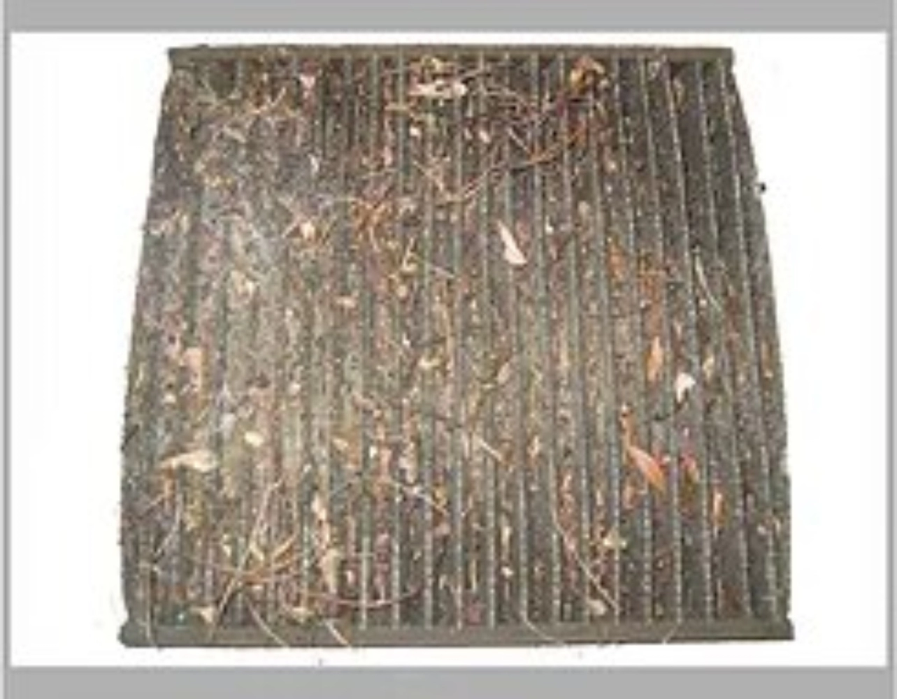 Cabin Filter-Charcoal 