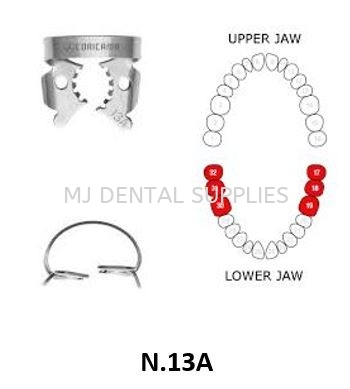 RUBBER DAM CLAMP LOWER MOLARS SIZE: N.13A, CORICAMA Dental Dam Dentistry Material Selangor, Malaysia, Kuala Lumpur (KL), Shah Alam Supplier, Distributor, Supply, Supplies | MJ Dental Supplies