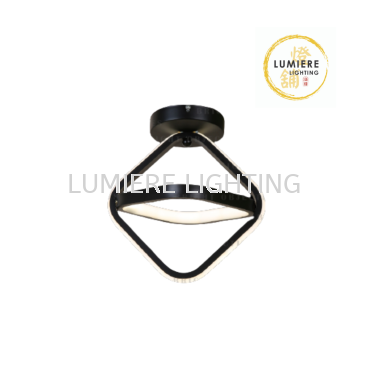 Nordic Minimalist Ceiling or Wall Light