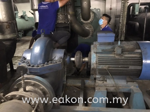 Water Pump Inspection and Assessment Service
