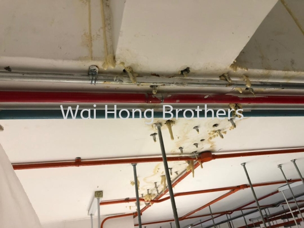  Wall Cracking Repairs Pu Injection And Polyurethane Coat  Selangor, Malaysia, Johor Bahru (JB), Kuala Lumpur (KL), Perak, Penang Services, Contractor, Specialist | Wai Hong Brothers Sdn Bhd