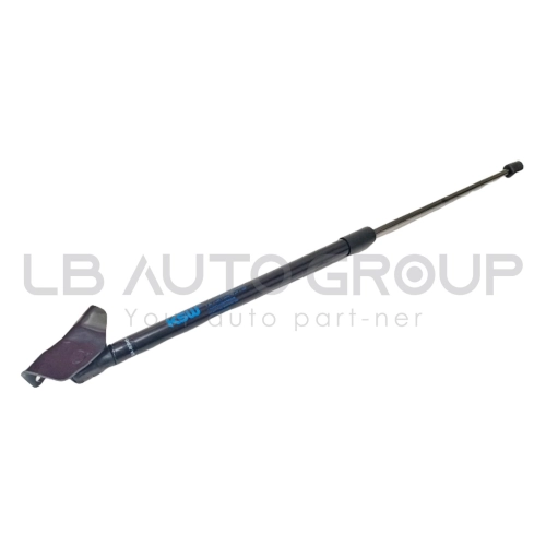 BA-80945-K BONNET ABSORBER CITRA II RONDO 08Y> (RR RH)