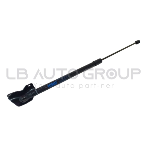 BA-80946-K BONNET ABSORBER CITRA II RONDO 08Y> (RR LH)