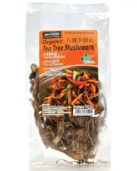 Organic Tea Tree Mushroom FUNGUS & MUSHROOM Malaysia, Selangor, Kuala Lumpur (KL), Klang, Petaling Jaya (PJ) Manufacturer, Wholesaler, Supplier, Importer | Matahari Sdn Bhd