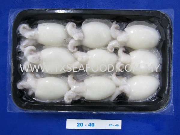 BABY CUTTLEFISH (TRAY PACKING) FROZEN SOTONG Selangor, Klang, Malaysia, Kuala Lumpur (KL) Supplier, Suppliers, Supply, Supplies | TX SEAFOOD SDN. BHD.