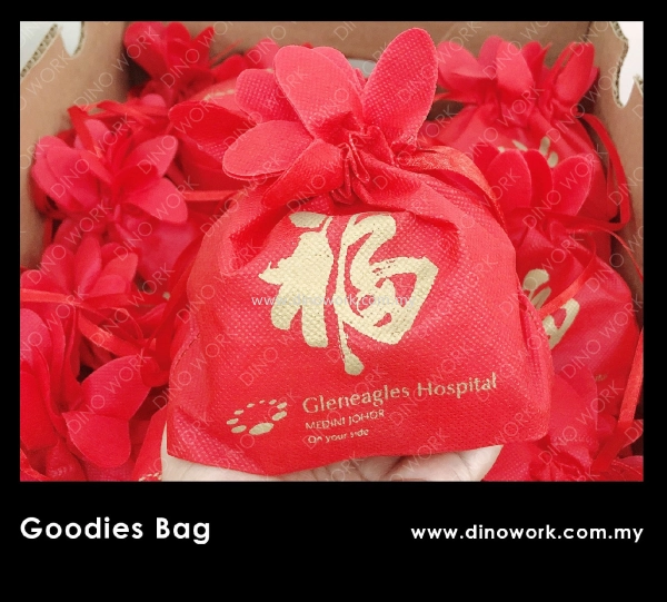 Non Woven Gift Bag
