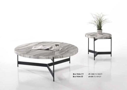 Modern Designer Coffee Table 