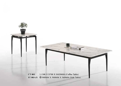 Modern Designer Coffee Table 