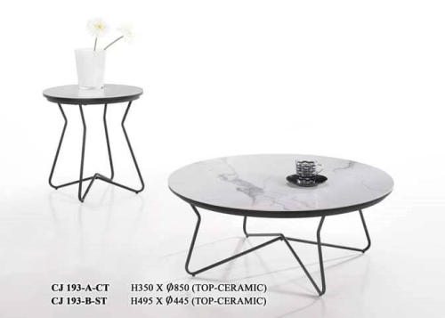 Modern Designer Coffee Table 