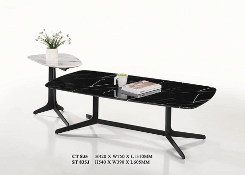 Modern Designer Coffee Table 