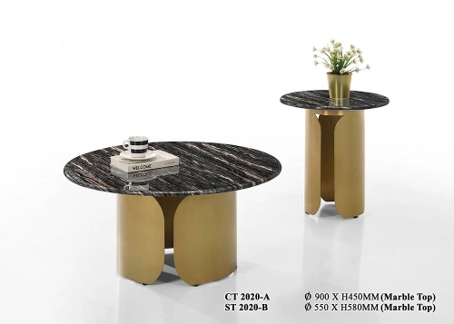 Modern Designer Coffee Table 