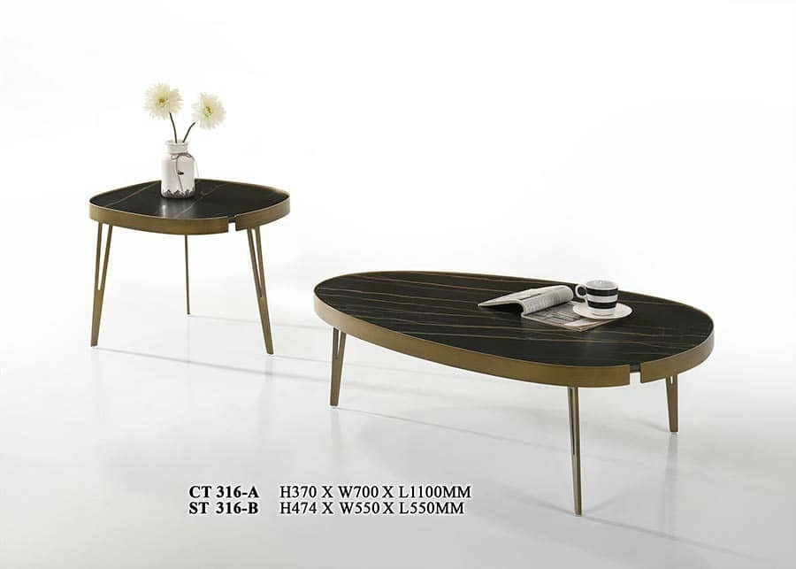 Modern Designer Coffee Table 