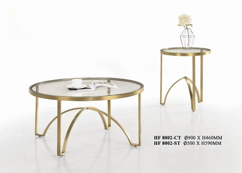 Modern Designer Coffee Table 