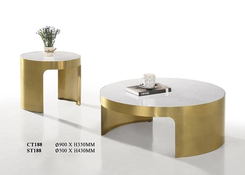 Modern Designer Coffee Table 