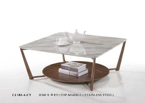 Modern Designer Coffee Table 