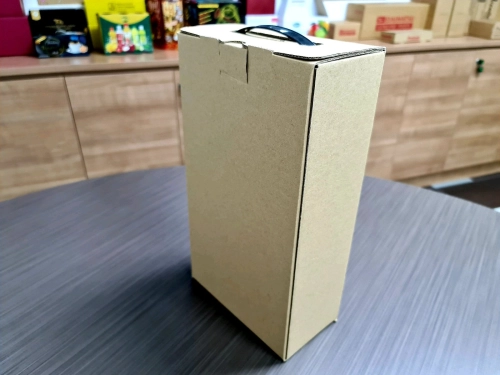 Diecut Box With Plastic Handle 