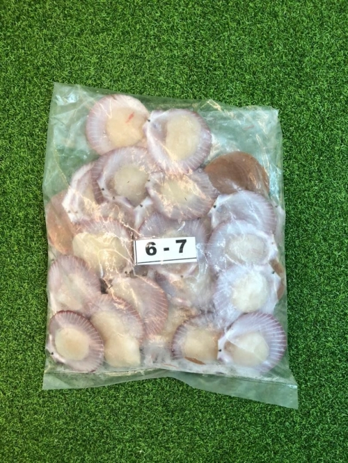 Half Shell Scallop 5-7cm (500gm/pkt) - Ocean Pacific Seafood & Meat Sdn Bhd