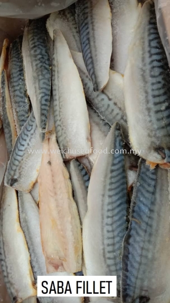 Saba Fillet Frozen Fish Selangor, Malaysia, Kuala Lumpur (KL), Klang Supplier, Suppliers, Supply, Supplies | Wei Chu Seafood Supply Trading Sdn Bhd