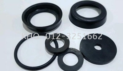 Rubber Oil Seal