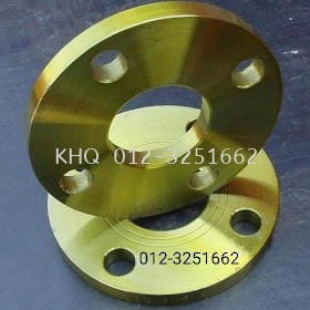 Mild Steel Flange