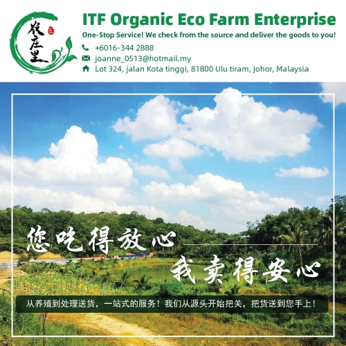 ITF Organic Eco Farm Enterprise