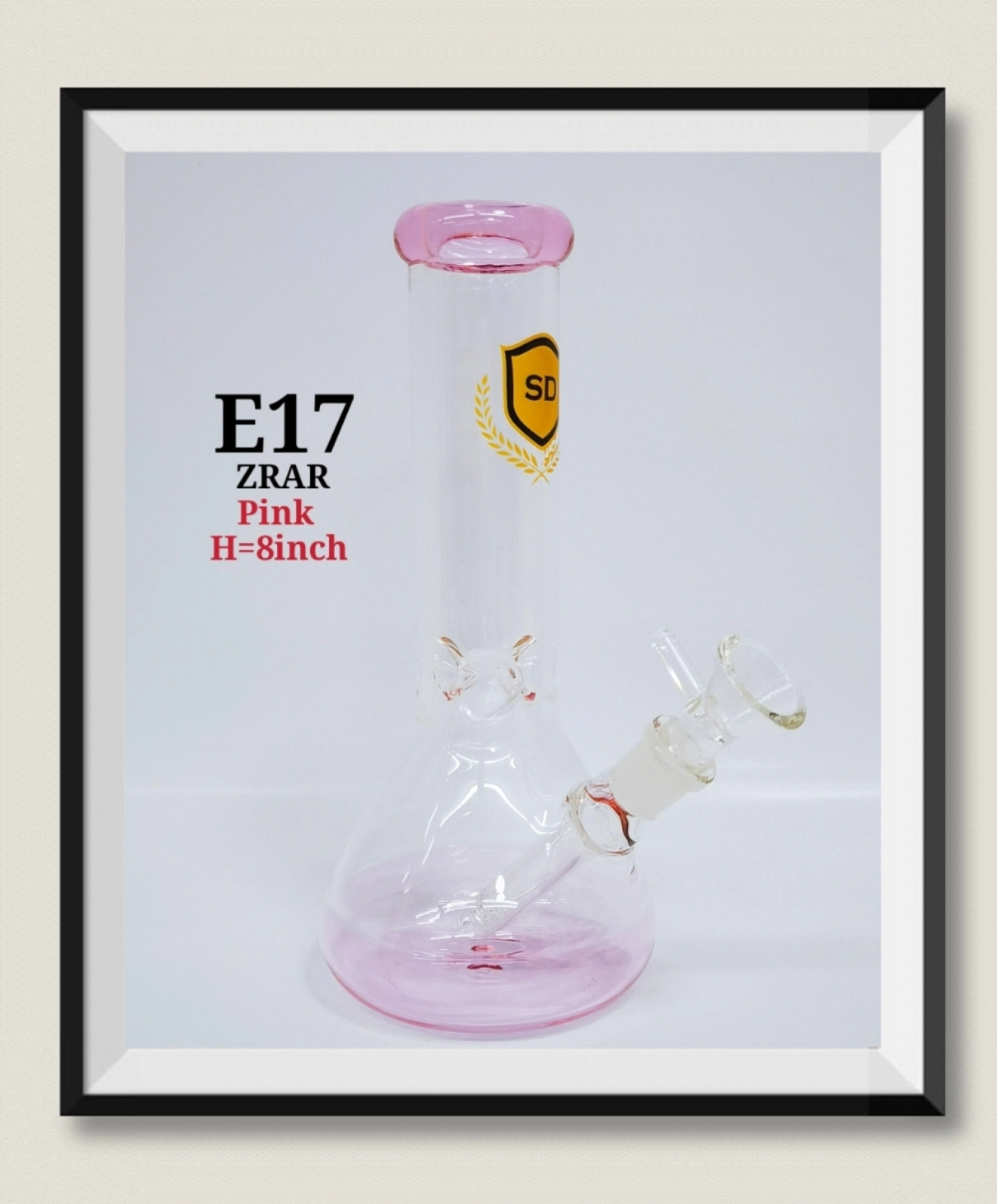 E17