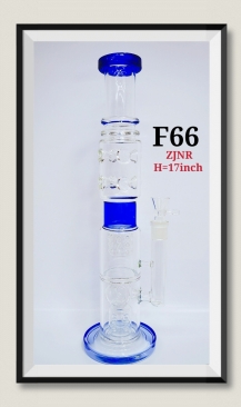 F66