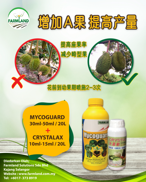 Recommendation for Durians Flowering Season Performance Fertilizers Selangor, Malaysia, Kuala Lumpur (KL), Kajang Supplier, Suppliers, Supply, Supplies | Farmland Solutions Sdn Bhd