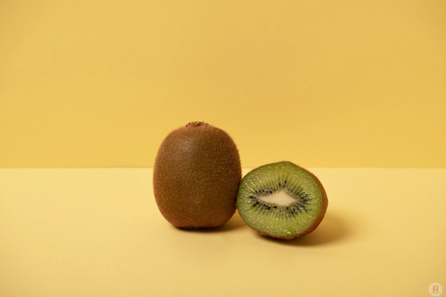 Kiwi B