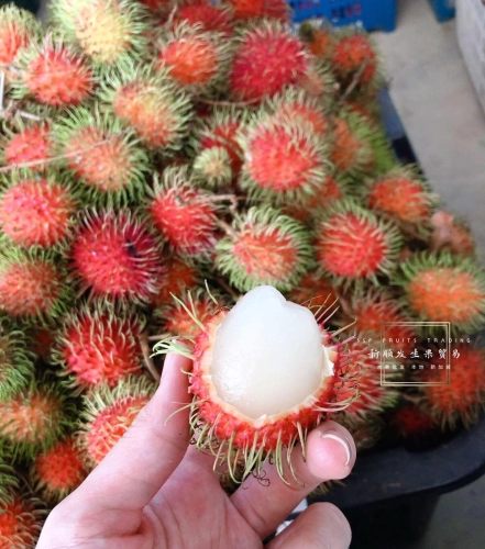 Rambutan 红毛丹