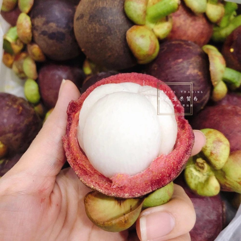 Mangosteen 山竹