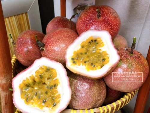 Passion fruit 百香果