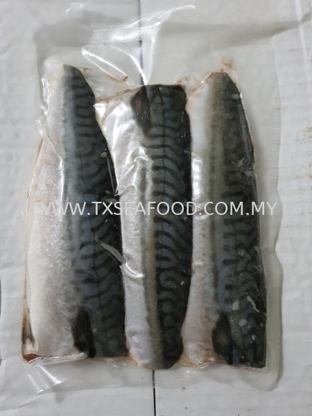 SABA FILLET (JAPANESE) FROZEN FISH MEAT FROZEN FISH Selangor, Klang, Malaysia, Kuala Lumpur (KL) Supplier, Suppliers, Supply, Supplies | TX SEAFOOD SDN. BHD.