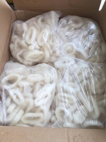 SOTONG RING (Ȧ) FROZEN SOTONG Selangor, Klang, Malaysia, Kuala Lumpur (KL) Supplier, Suppliers, Supply, Supplies | TX SEAFOOD SDN. BHD.