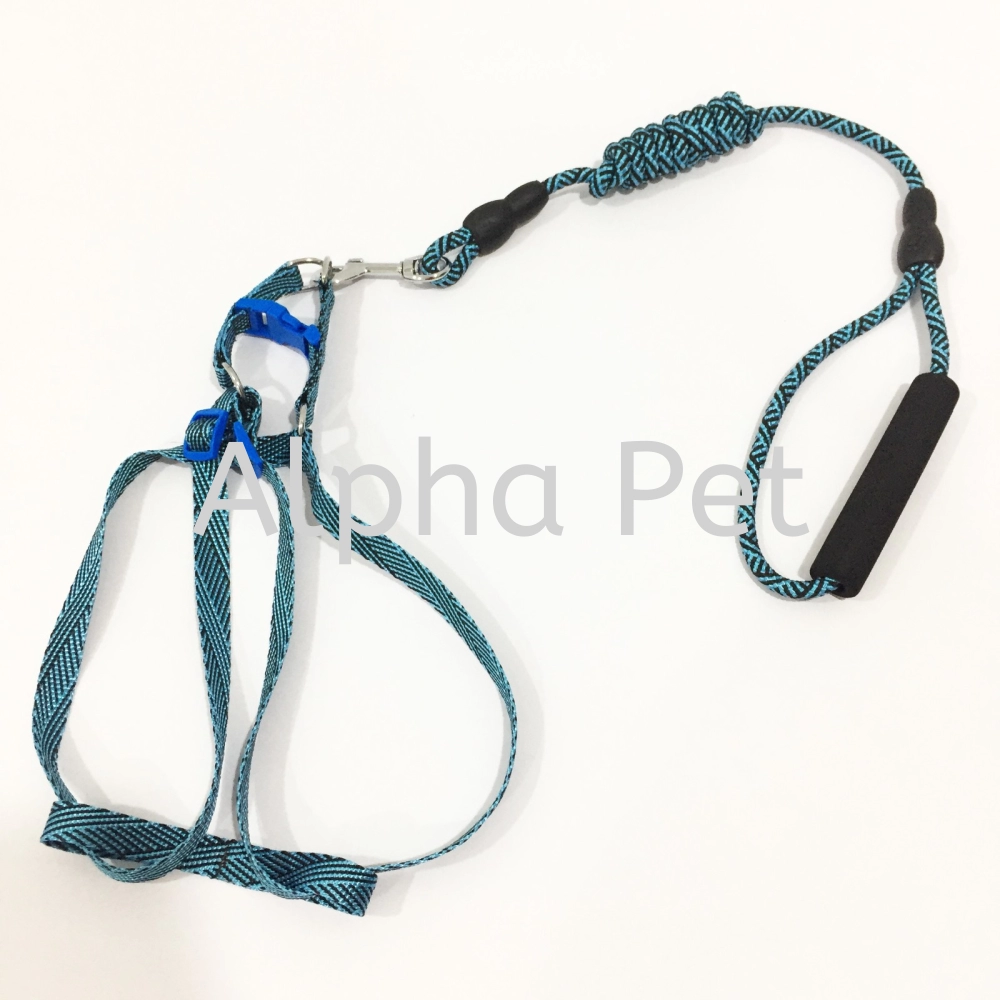 Leash W. Harness (Y060)